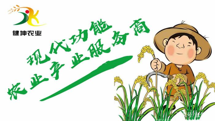 为什么 补硒（补硒片哪个牌子效果最好）-硒宝网