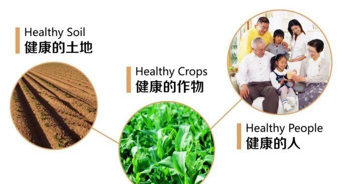 为什么 补硒（补硒片哪个牌子效果最好）-硒宝网