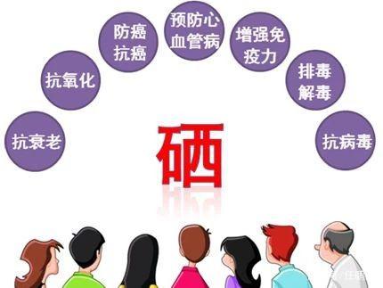 为什么 补硒（补硒片哪个牌子效果最好）-硒宝网