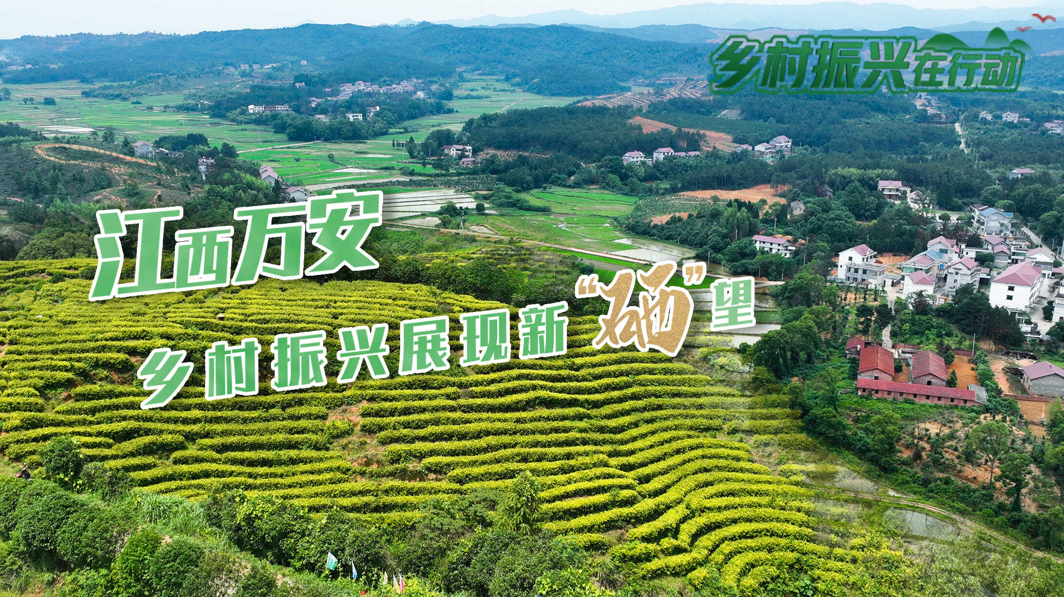 富硒产品介绍(富硒介绍产品文案)-硒宝网