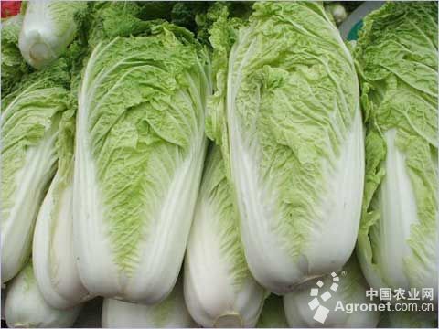 富硒大米好吗(富硒的大米)-硒宝网