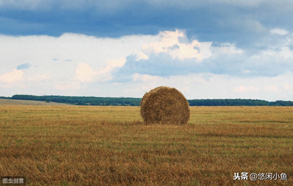 富硒大米行业（大米富硒行业分析）-硒宝网