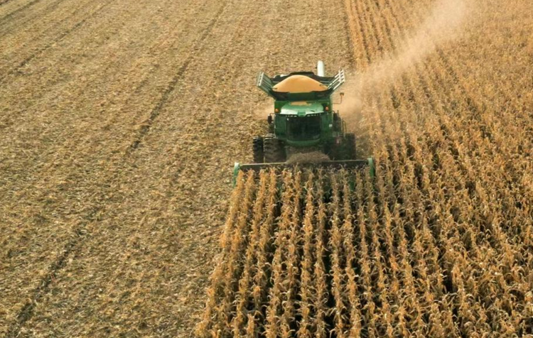 海伦富硒大米(海伦富硒米多少钱一斤)-硒宝网