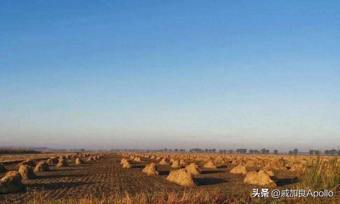 富硒什么意思(富硒是啥)-硒宝网