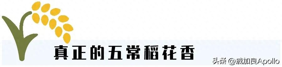富硒什么意思(富硒是啥)-硒宝网