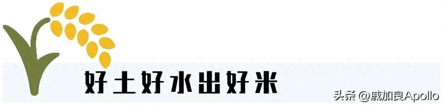 富硒什么意思(富硒是啥)-硒宝网