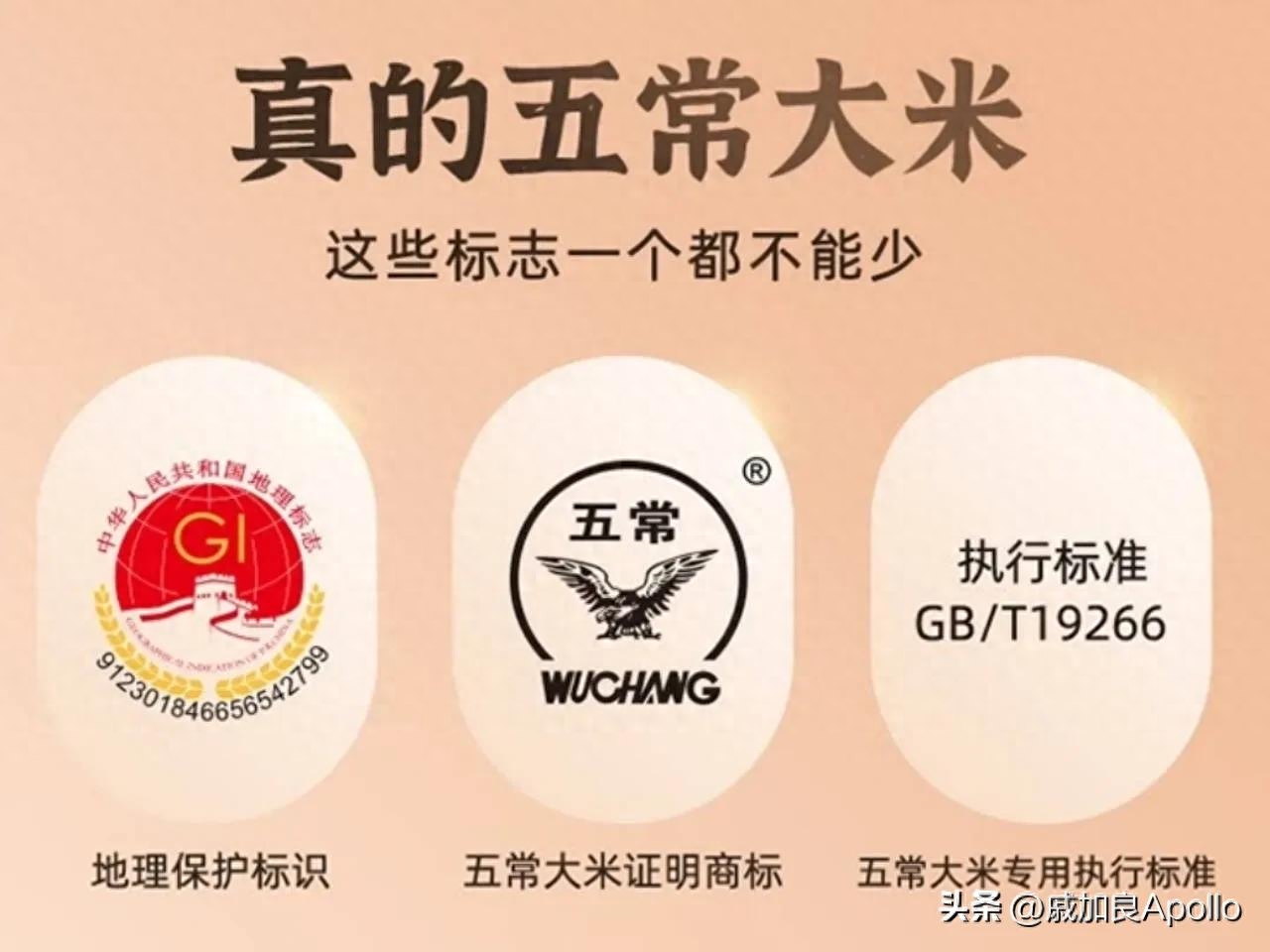 富硒什么意思(富硒是啥)-硒宝网