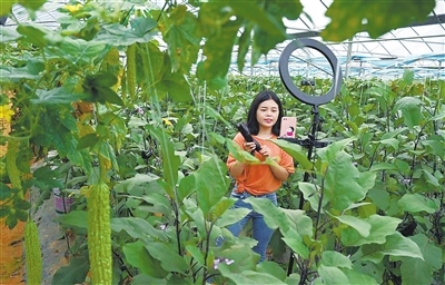 兴国富硒产品（兴国富硒产品）-硒宝网