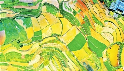 兴国富硒产品（兴国富硒产品）-硒宝网