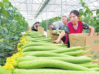 兴国富硒产品（兴国富硒产品）-硒宝网