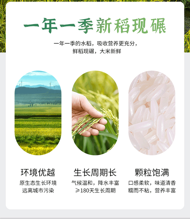 富硒大米功效(富硒大米功效)-硒宝网