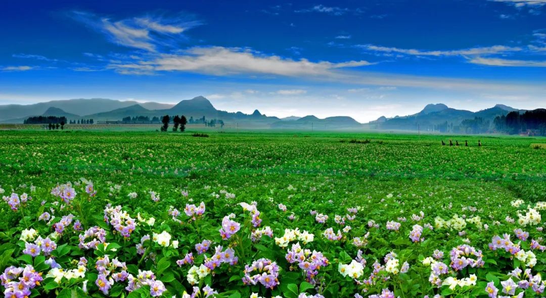 富硒产品优势(富硒产品品牌)-硒宝网