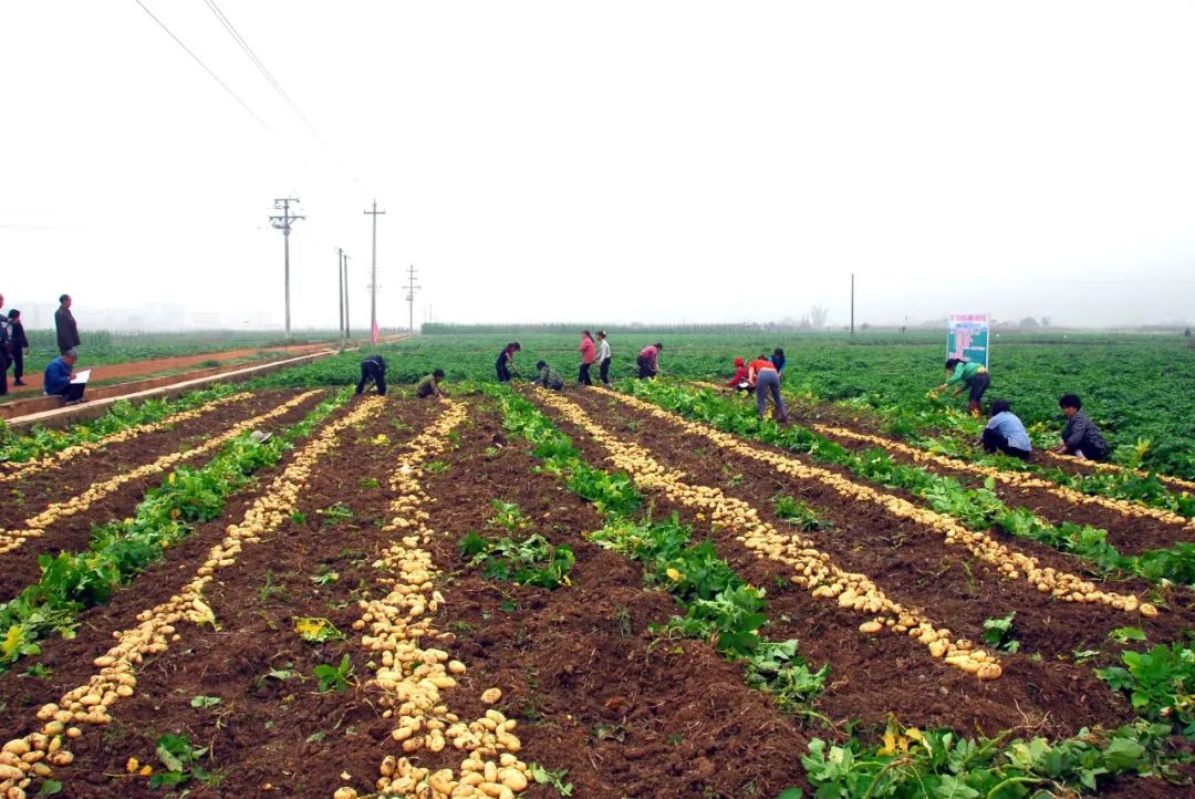 富硒产品优势(富硒产品品牌)-硒宝网