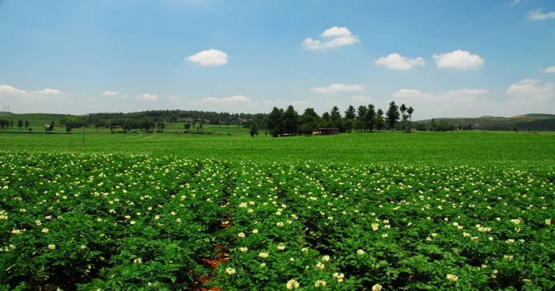 富硒产品优势(富硒产品品牌)-硒宝网