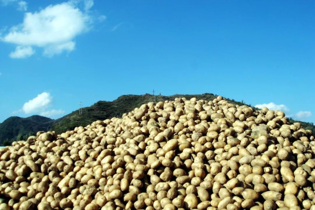 富硒产品优势(富硒产品品牌)-硒宝网