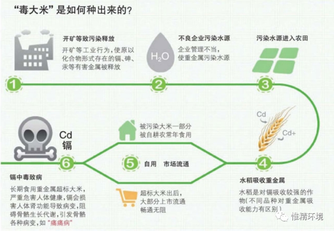 富硒大米特点（富硒大米特点）-硒宝网