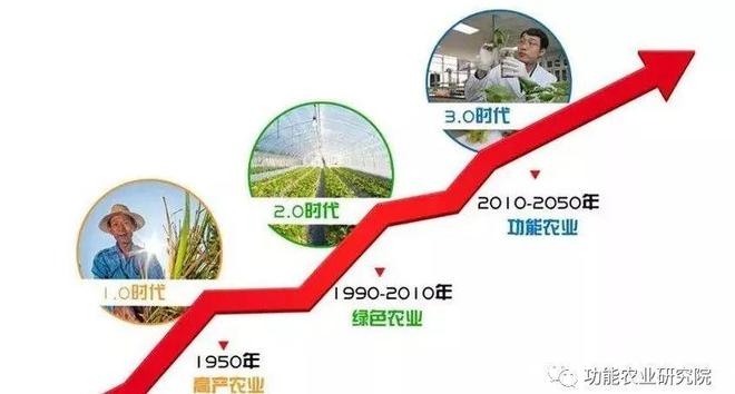 人体如何补硒(人体补硒标准)-硒宝网