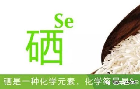 人体如何补硒(人体补硒标准)-硒宝网