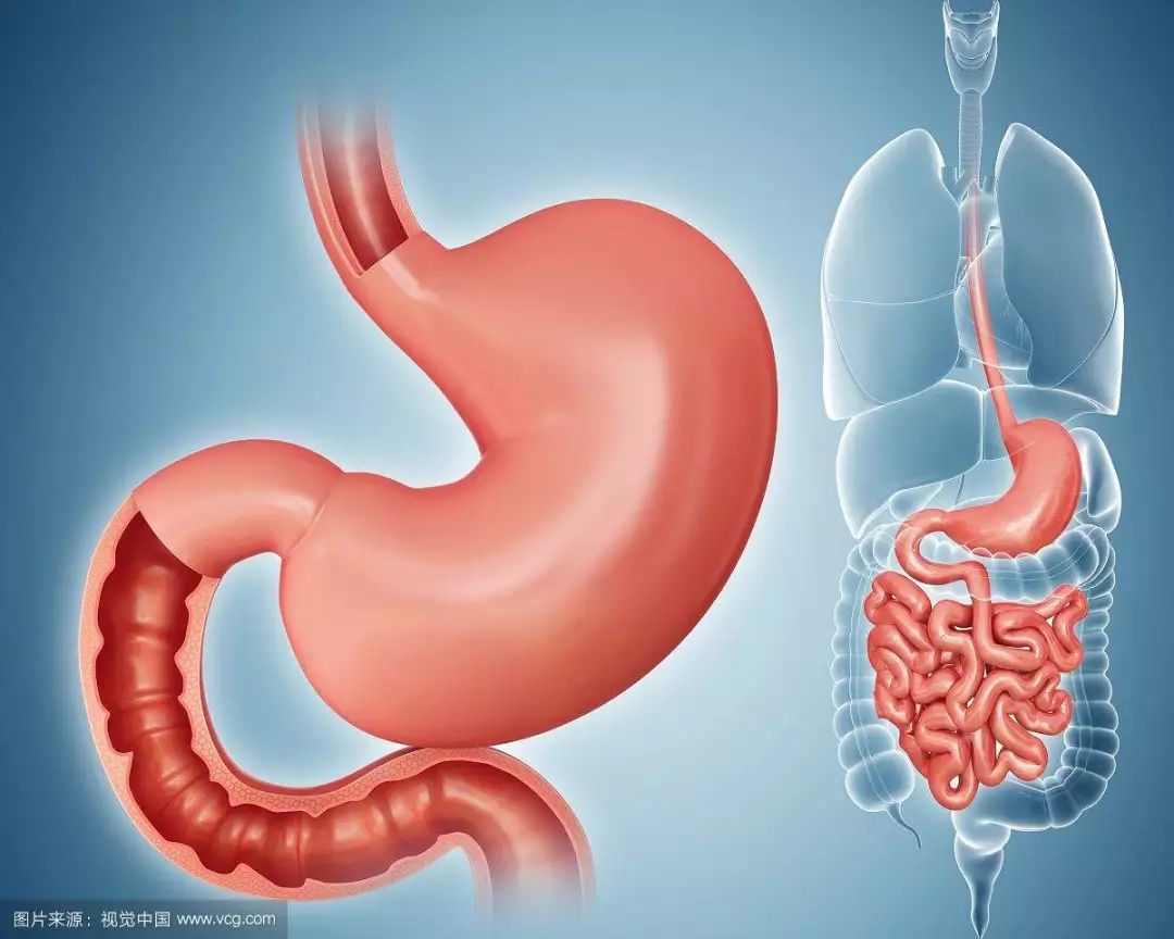 富硒茶硒含量（富硒茶真的含硒元素吗）-硒宝网