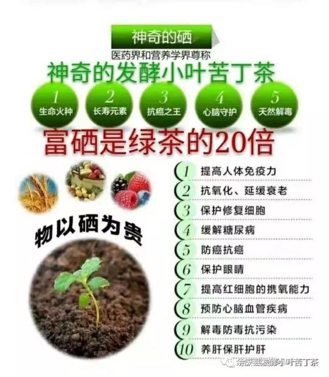 富硒茶硒含量（富硒茶真的含硒元素吗）-硒宝网