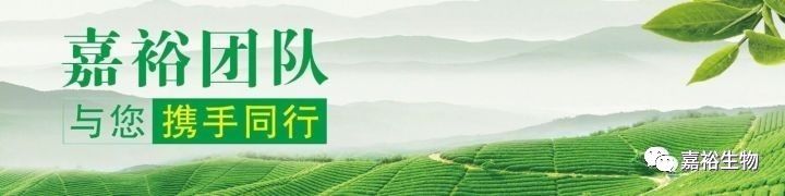 恩施富硒红茶(恩施富硒红茶)-硒宝网