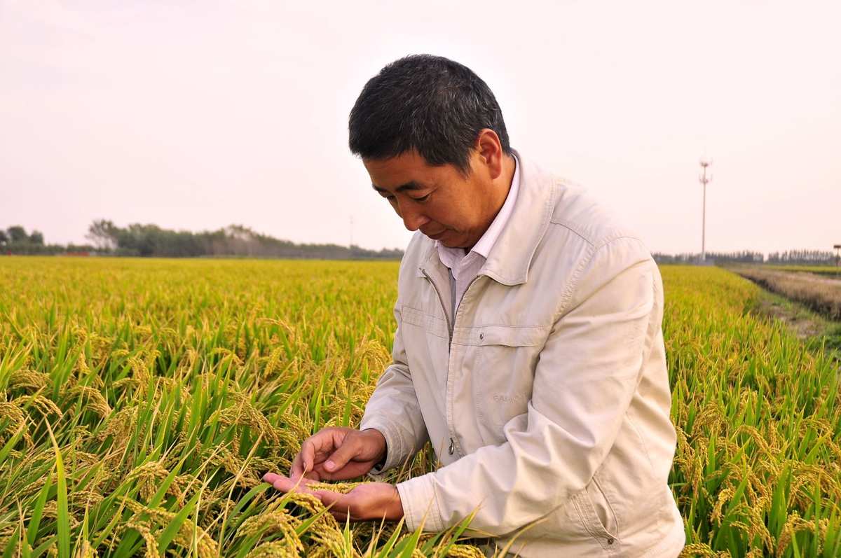 桃源富硒产品（桃源富硒产品有哪些）-硒宝网