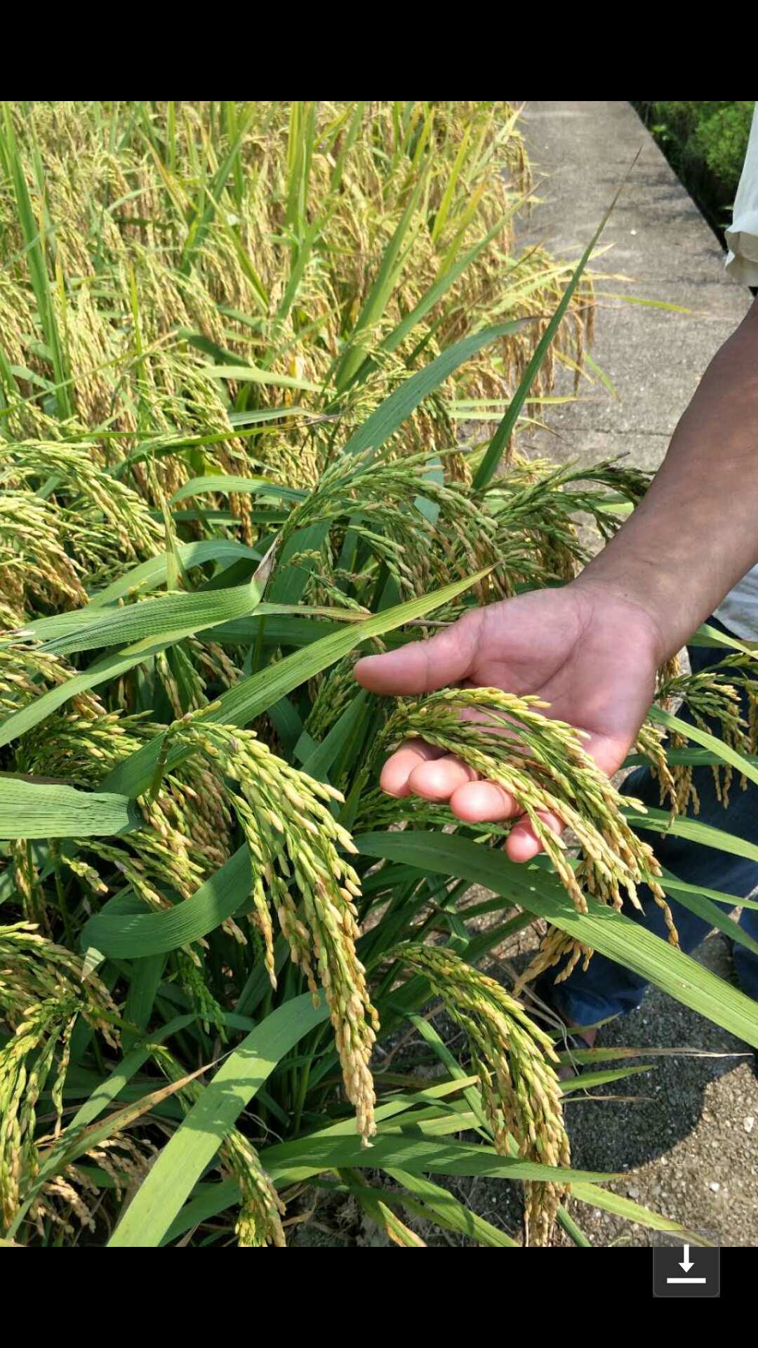 生产富硒产品（生产富硒产品的厂家）-硒宝网