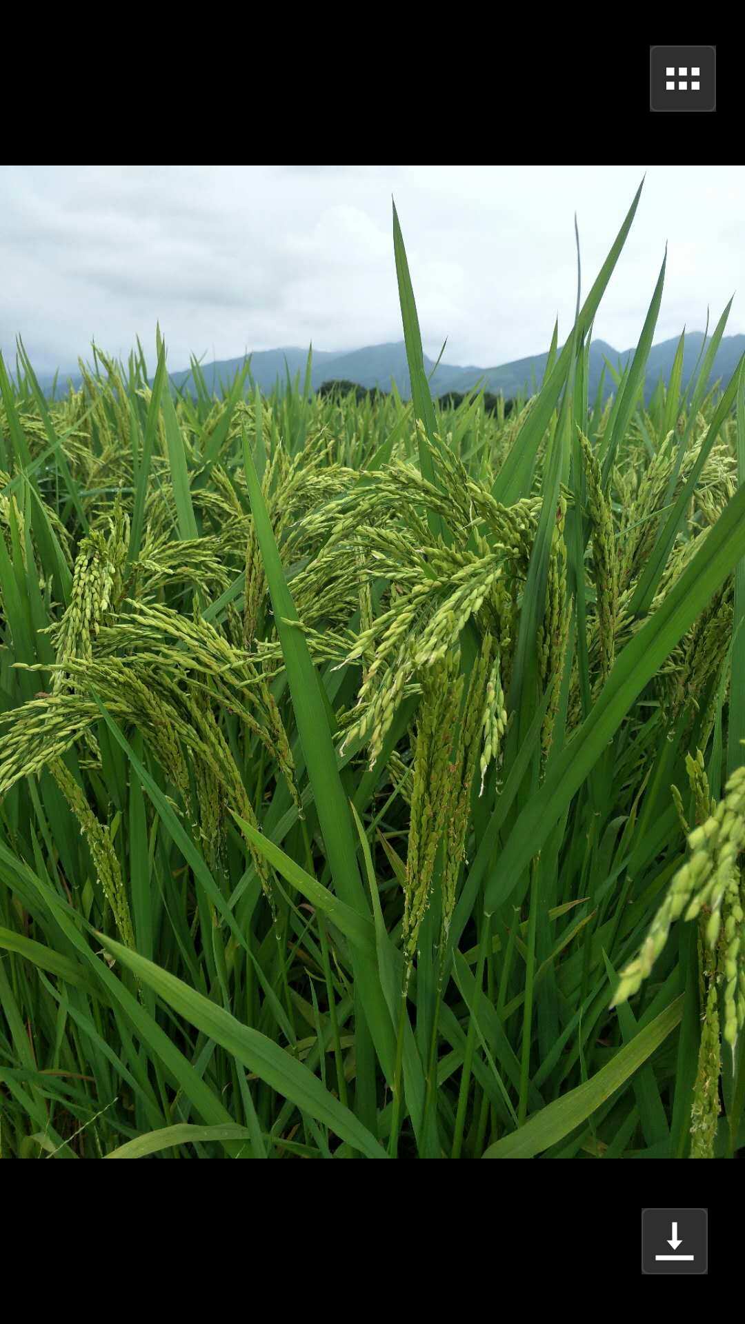 生产富硒产品（生产富硒产品的厂家）-硒宝网