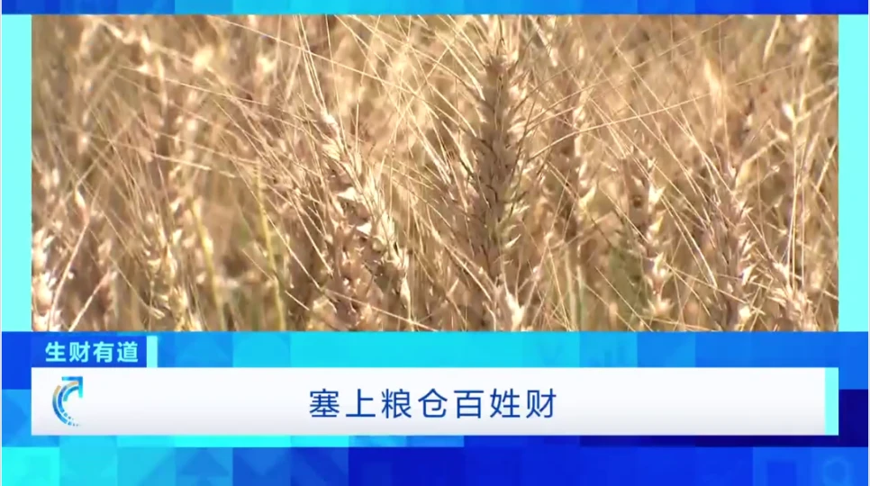 富硒面粉品牌（面粉富硒品牌推荐）-硒宝网