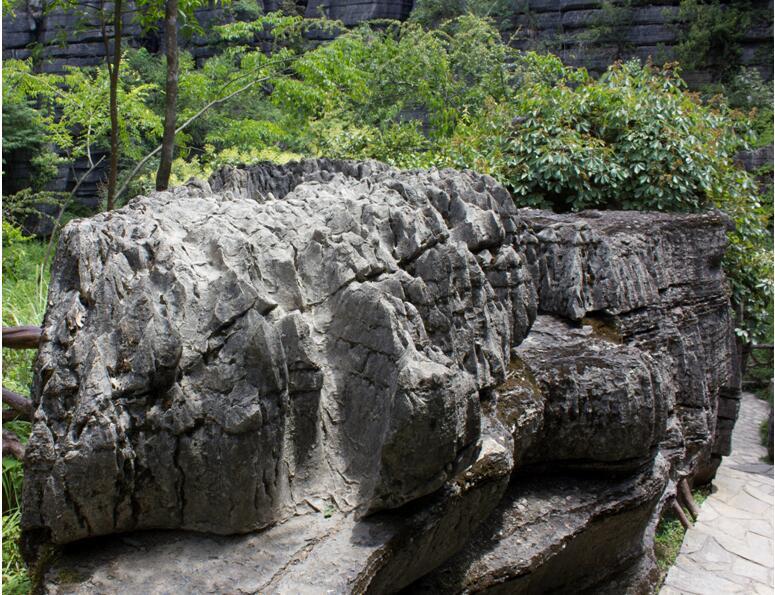 恩施富硒水果（恩施富硒特产）-硒宝网