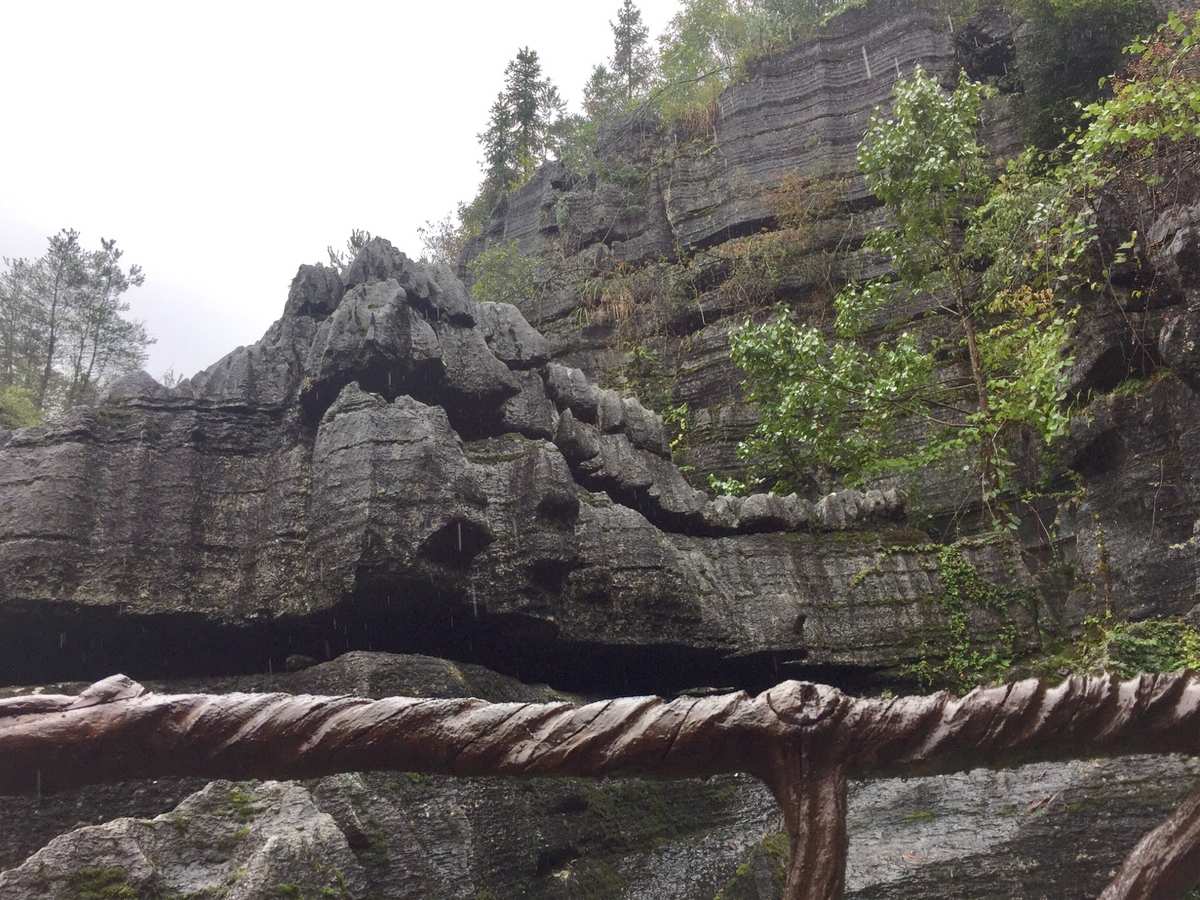 恩施富硒水果（恩施富硒特产）-硒宝网