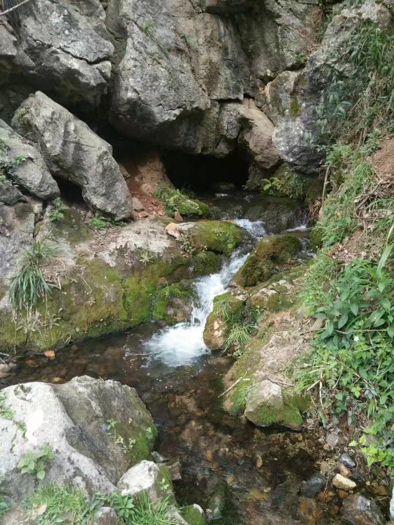 恩施富硒水果（恩施富硒特产）-硒宝网