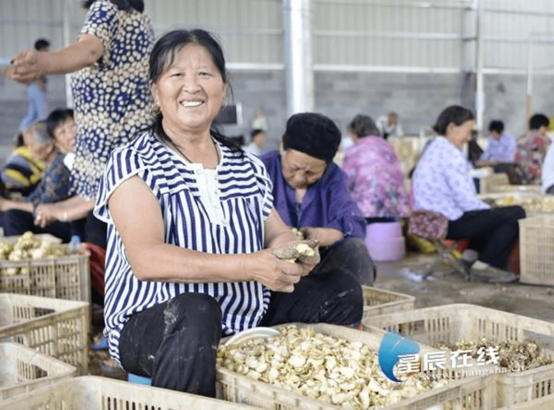人工富硒大米(人工富硒大米)-硒宝网