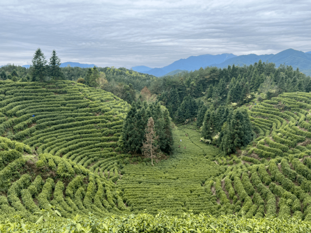 人工富硒大米(人工富硒大米)-硒宝网