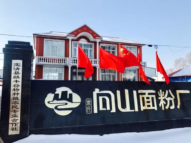 富硒面粉好吗（富硒面粉和普通面粉有什么区别）-硒宝网