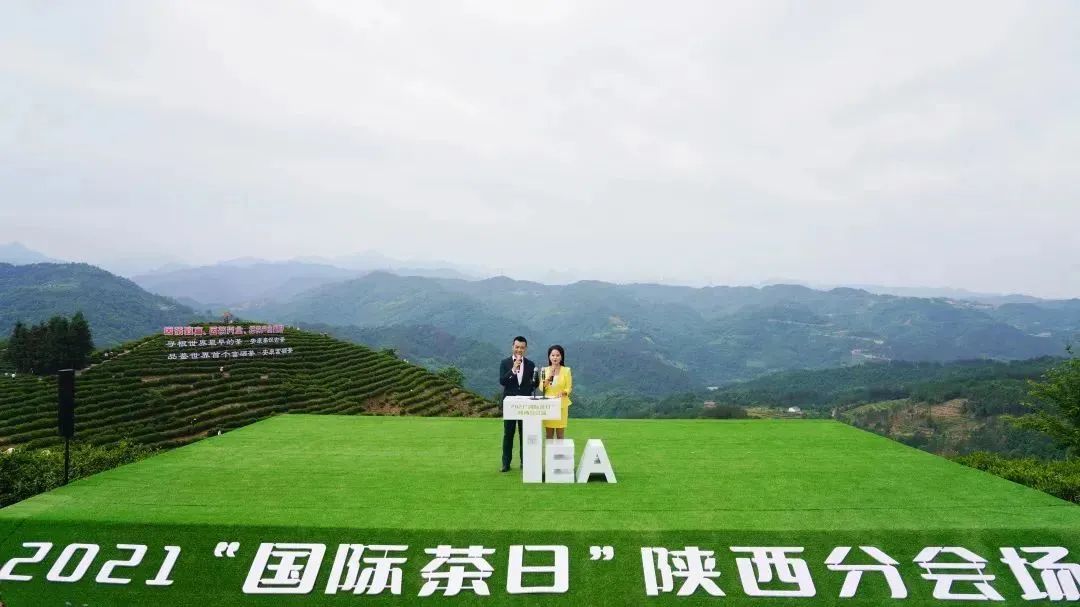 富硒茶的品牌（富硒茶品种）-硒宝网