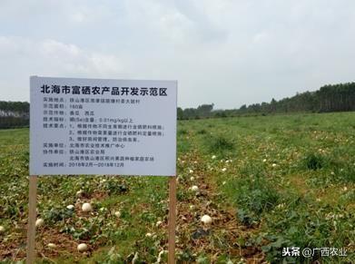 富硒产品开发（开发富硒产品的重要意义）-硒宝网