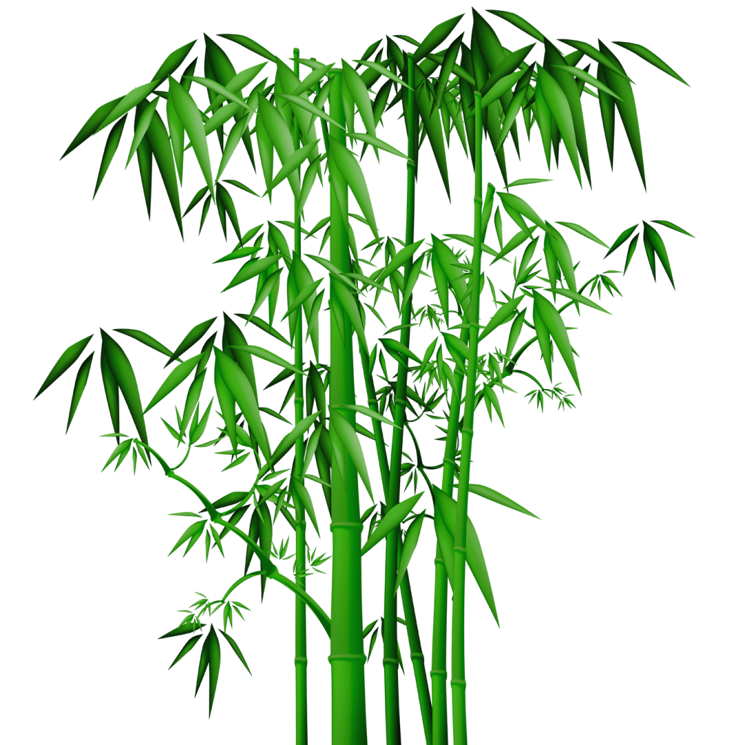 宜春富硒大米(宜春富硒大米)-硒宝网