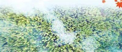 宜春富硒大米(宜春富硒大米)-硒宝网