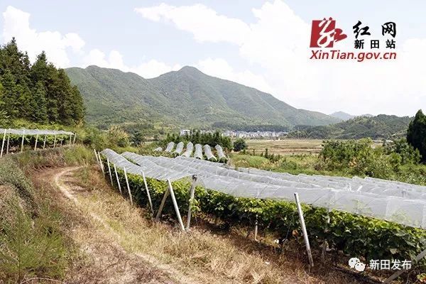 新田富硒产品(新田富硒产品在哪个村)-硒宝网