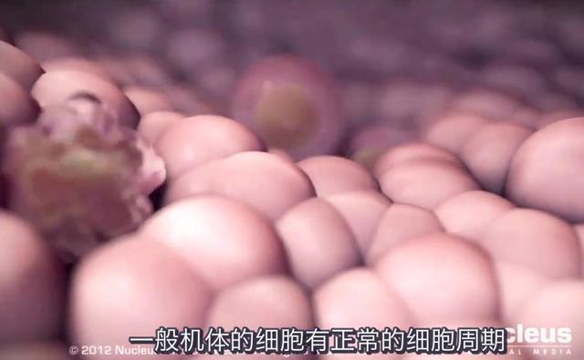 化疗后 补硒（化疗吃硒片）-硒宝网