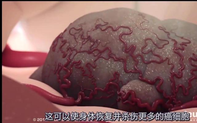 化疗后 补硒（化疗吃硒片）-硒宝网