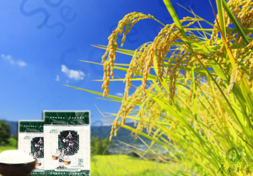 富硒营养大米（富硒大米中含有的主要营养素是）-硒宝网