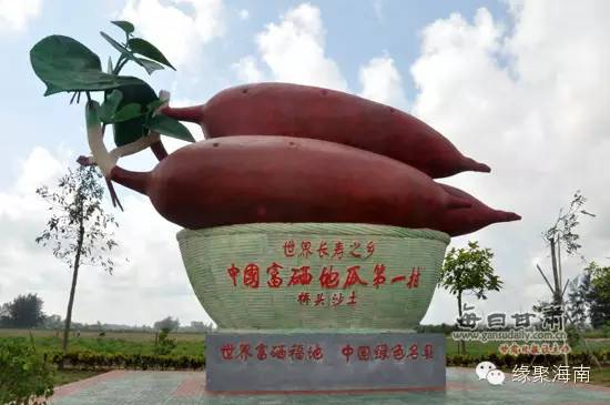 澄迈富硒地瓜（澄迈富硒地瓜的特点）-硒宝网