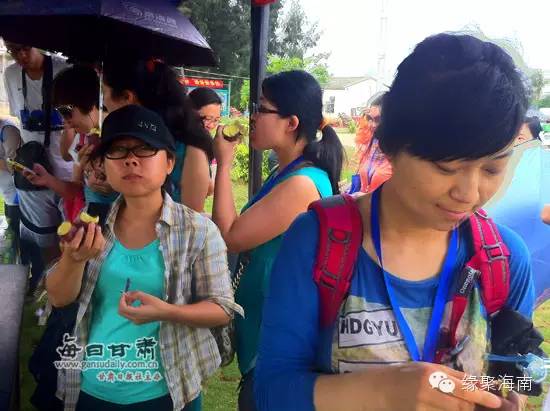 澄迈富硒地瓜（澄迈富硒地瓜的特点）-硒宝网