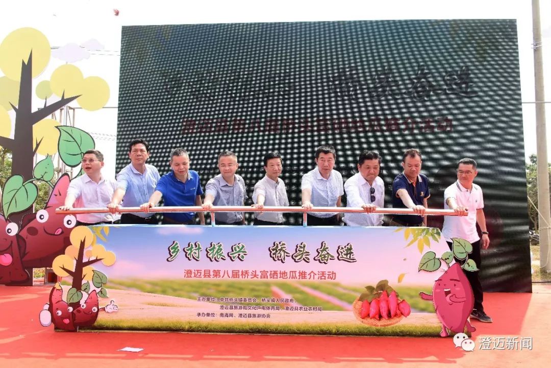 澄迈富硒地瓜（澄迈县红土地富硒）-硒宝网