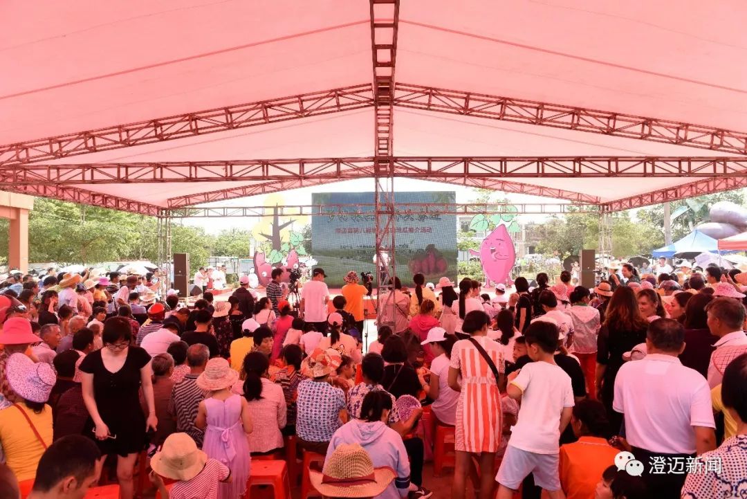 澄迈富硒地瓜（澄迈县红土地富硒）-硒宝网