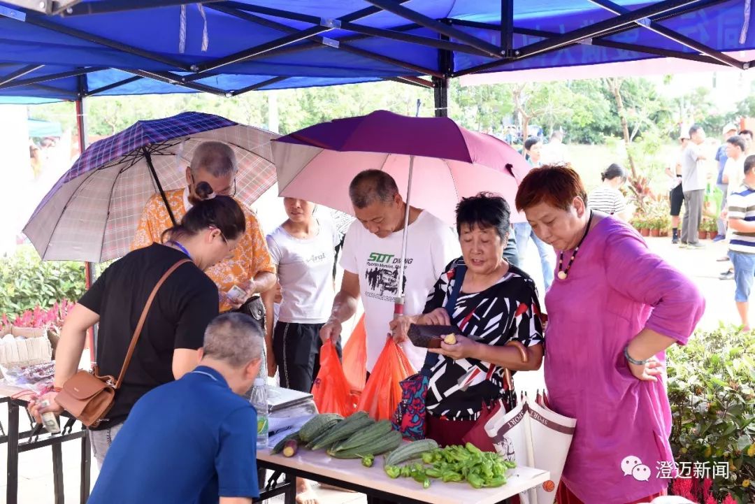 澄迈富硒地瓜（澄迈县红土地富硒）-硒宝网