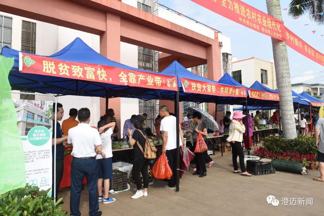 澄迈富硒地瓜（澄迈县红土地富硒）-硒宝网