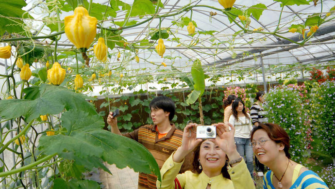 珲春富硒大米（珲春富硒大米假的吧）-硒宝网